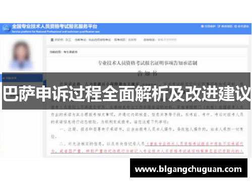 巴萨申诉过程全面解析及改进建议