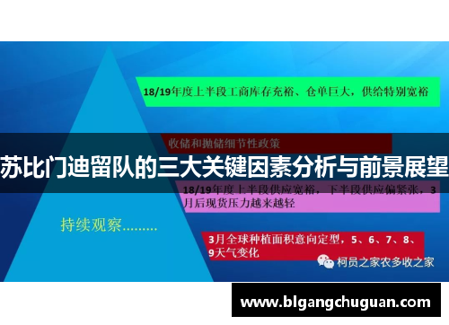 苏比门迪留队的三大关键因素分析与前景展望